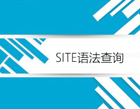 用site语法查询网站的收录情况